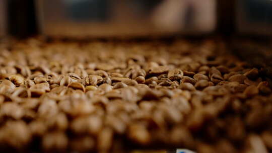 咖啡豆加工生产【4K】视频素材模板下载