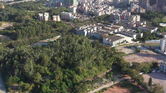 航拍深圳城市生态绿化