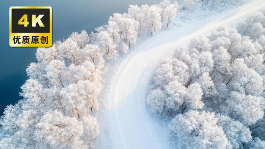 冬季唯美景色湖边树挂雾凇冰花雪景哈尔滨