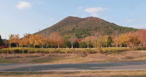 金秋时节 美丽的苏州大阳山森林公园