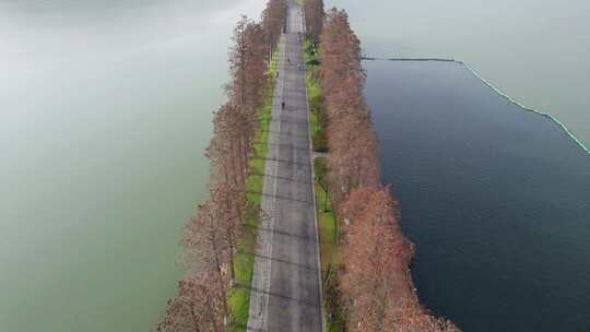 湖北省武汉市东湖绿道航拍4k