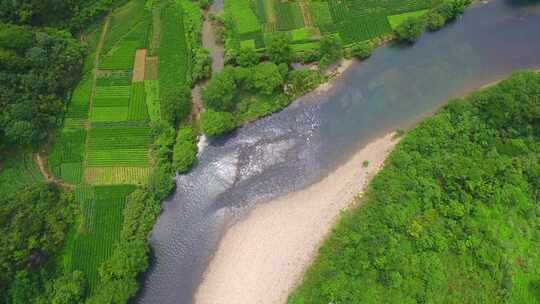 航拍武夷山九曲溪岩茶茶园丹霞地貌