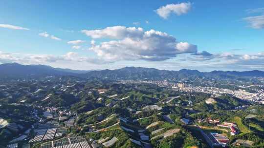 江西赣州赣南寻乌县脐橙种植基地航拍