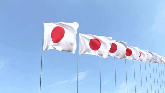 日本国旗一排的日本国旗