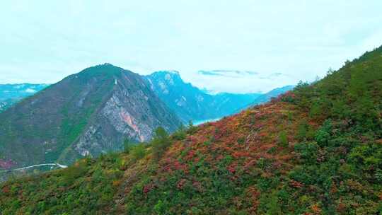 长江三峡巫峡峡口红叶