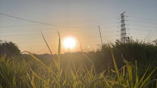 温暖的夕阳下,随风摇摆的小草,远处的高塔