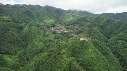 信宜平塘马安村竹海航拍延时，毛竹林航拍