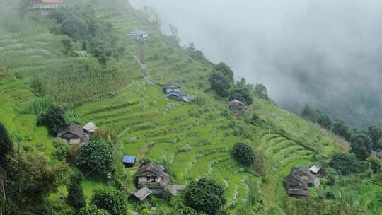 水稻梯田，山，树，房子