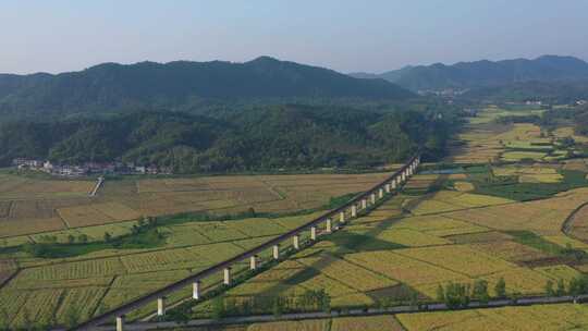 乡村振兴乡村建设美丽乡村