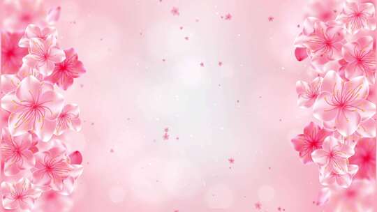 粉色浪漫花瓣粒子动态视频