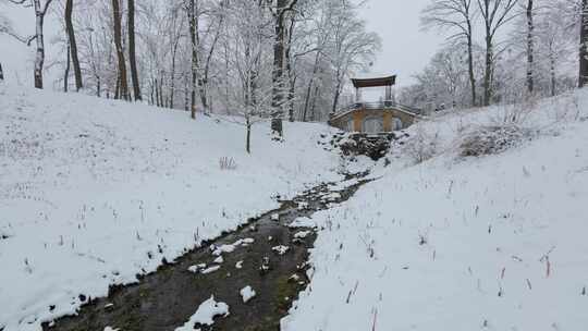 美丽的中国桥被雪覆盖。穿过冬季森林的美丽