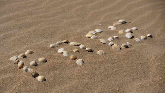 沙子上的铭文。从贝壳上放出这个词。被风吹走的沙粒
