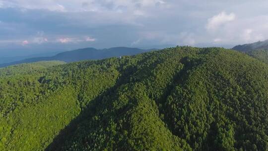 原始森林视频武定环洲万松山原始森林夕阳