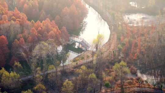 航拍西沙明珠湖景区湿地公园景观路