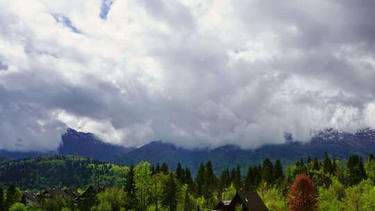 森林上空的云景