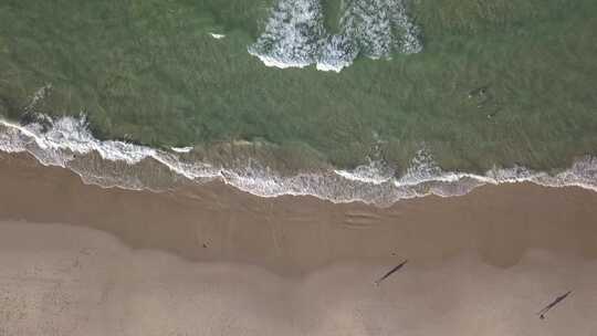 沙滩海浪蓝色大海