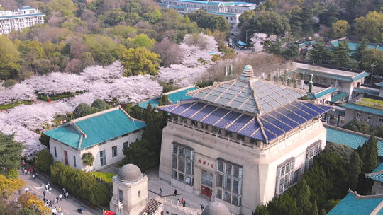 航拍武汉大学教学楼与春天樱花