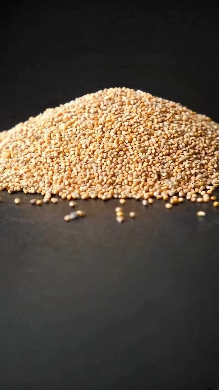 黄米食材微距特写
