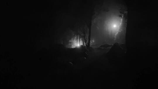 一个人独自走在黑暗的森林里