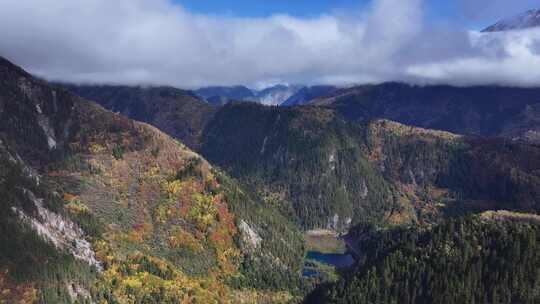 航拍九寨沟秋景彩林川西秋天原始森林五花海