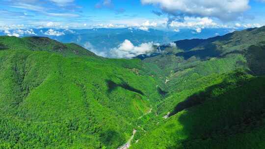 茶山 山川 云海 云南原始森林 大好河山