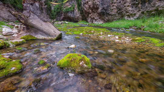 夏天绿色清澈小溪流水延时