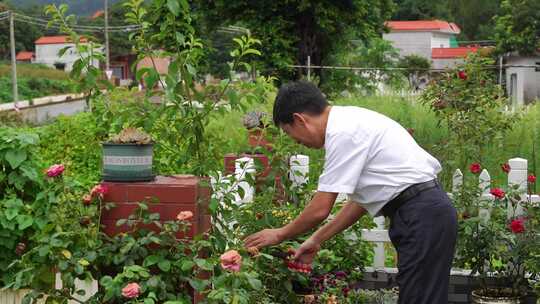 老家 农村 种田 养花 老屋 乡村振兴