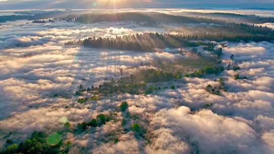 森林云海日出俯瞰景象