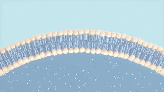 细胞膜和分子，三维渲染。