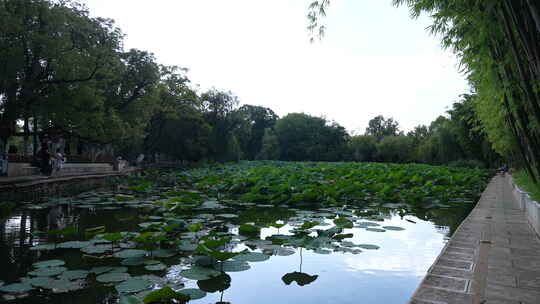 昆明翠湖公园