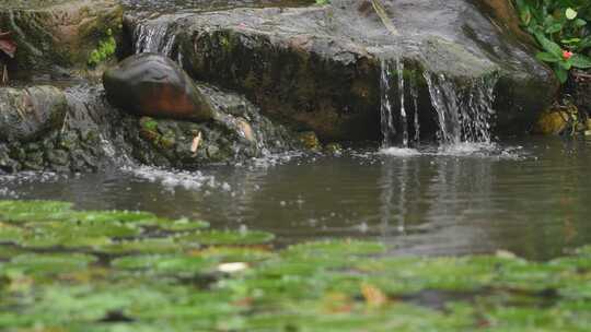 雨天的公园假山瀑布流水