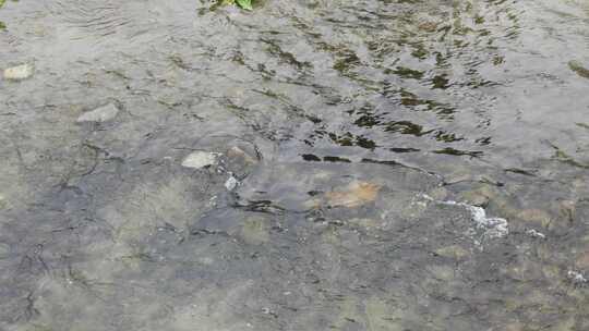 清澈河水河流水源水流溪流溪水