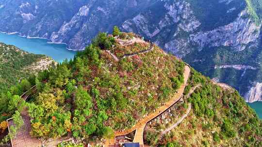 三峡红叶