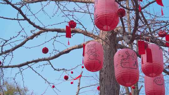 杭州西湖钱王祠新年祈福红灯笼