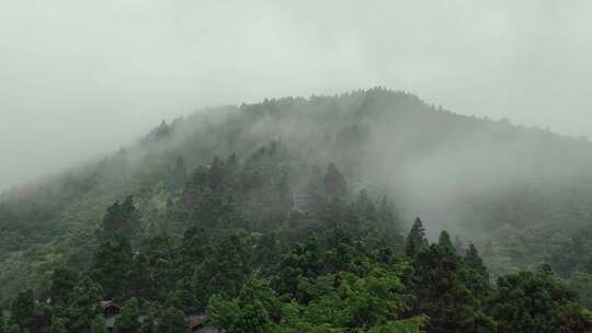 衡山高山云雾