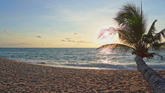 蓝天白云大海椰子树夕阳大海视频素材模板下载