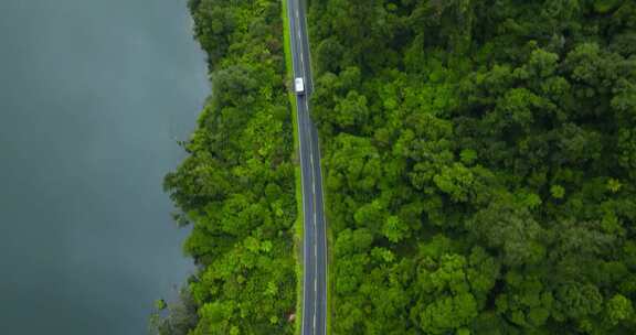 4K新西兰湖畔森林公路旅行车航拍