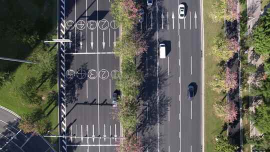 花卉盛开的广州道路交通航拍