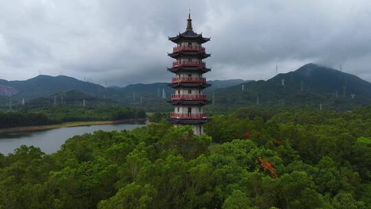 深圳坪山泰和塔 (3)