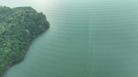 湖边俯拍湖面岸边风光森林湖泊树林俯视湖水