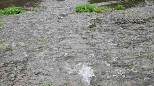 清澈河水河流水源水流溪流溪水