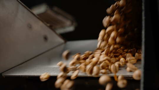 咖啡豆正在工业输送机上推广视频素材模板下载