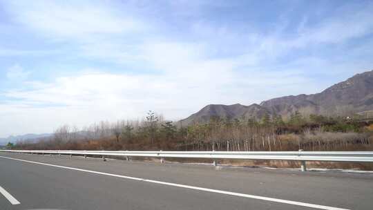 旅行 沿途 风景 公路 树