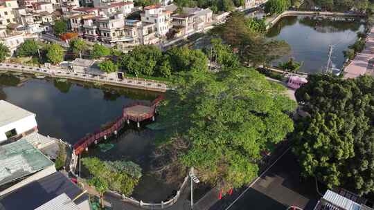 中国广东省广州市番禺区大岭村