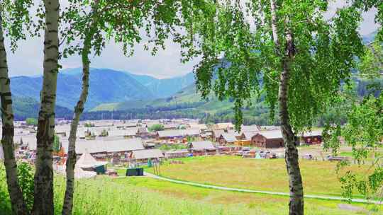 中国新疆北疆阿勒泰禾木村原始村庄夏天风景