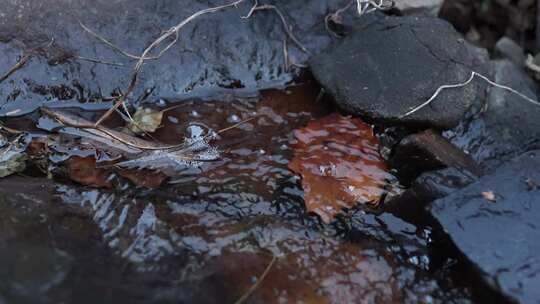 小溪 流水 高山 水 河流 流水