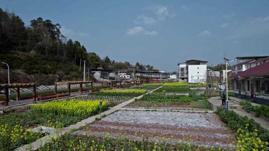 高清航拍乡村农田稻田农村山水风光自然风景