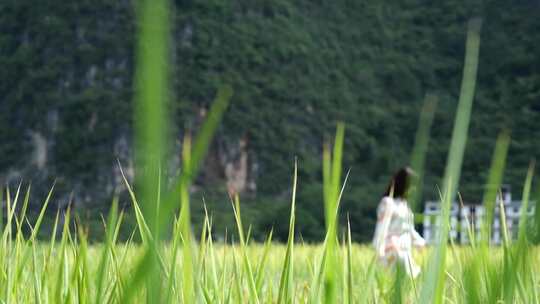 都市美女在乡村稻田田野里感受自然