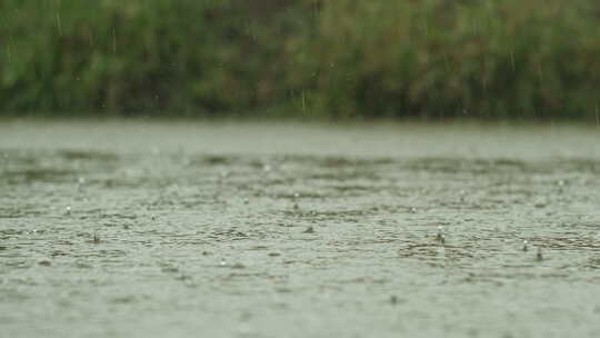 下雨清明谷雨酸雨倾盆大雨蒙蒙细雨