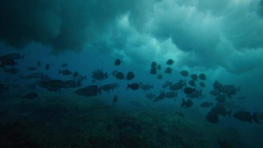 海底拍摄海浪袭来